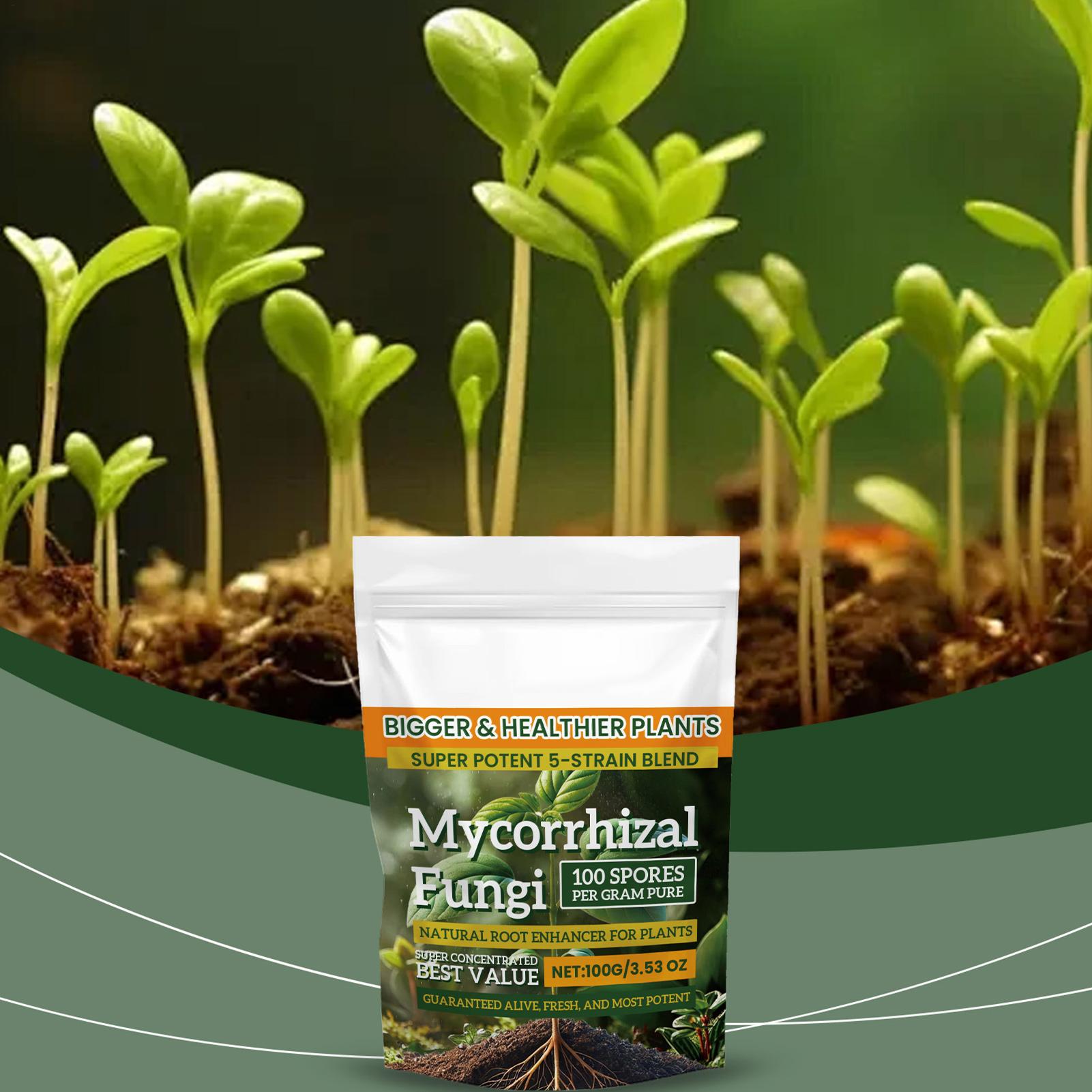 Roots Nutrition & Fitness Inglewood Photos - 100g Organic Plant Root Enhancer Powder