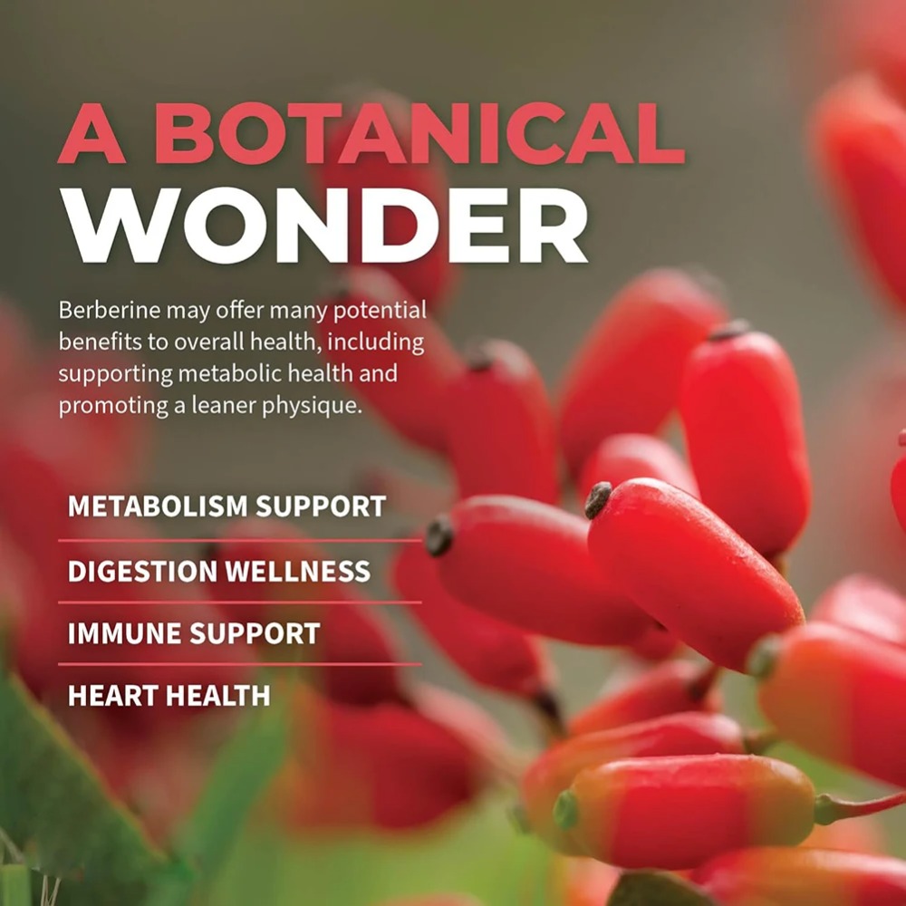 Berberine HCl with Ceylon Cinn - Berberine Hcl Capsule 评论和价格