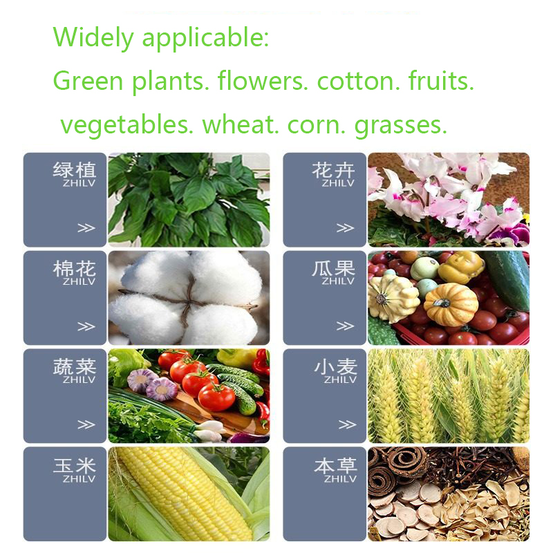 200g Soil Activator Mineral So - Roots Nutrition & Fitness Inglewood Photos 评论和价格